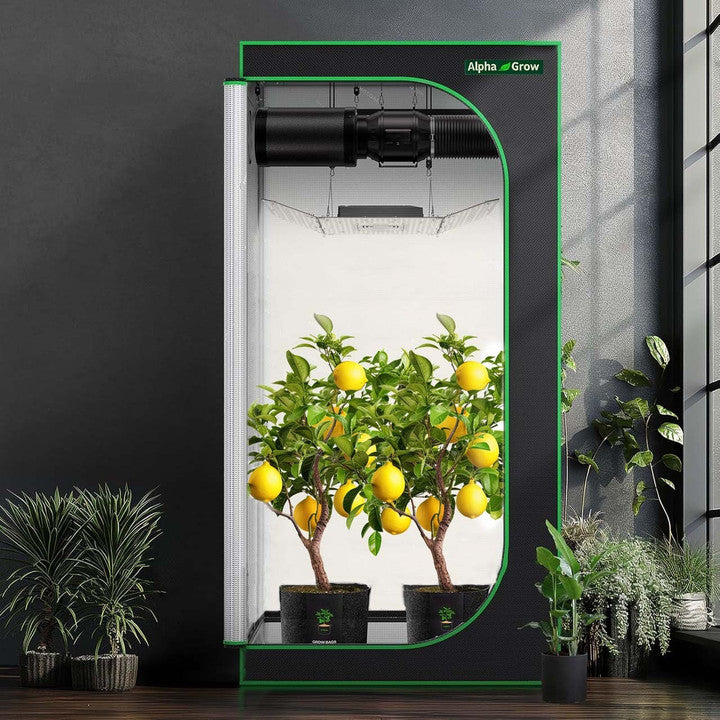 2x2 Grow Tent, 24"x24"x48'' High Reflective 1680D Diamond Mylar Canvas with Observation Window and Floor Tray for Hydroponic Indoor Plant Growing